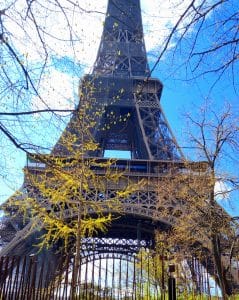 l'école ACCORD Tour Eiffel (1)