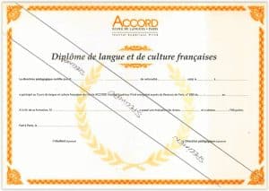 Why take the "Diplôme de Langue et Culture Françaises"