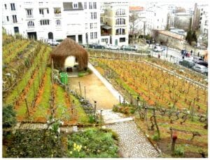 Montmartre Grape Harvest Festival