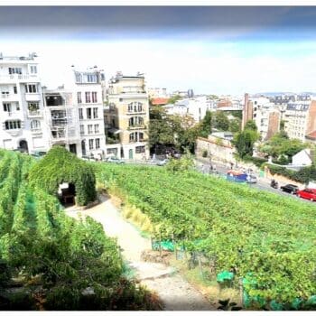 the Montmartre Grape Harvest Festival