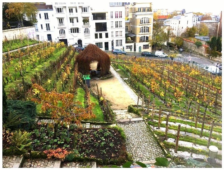 Montmartre Grape Harvest Festival