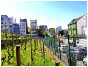 Montmartre Grape Harvest Festival