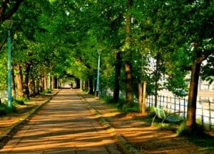 Französischkurse und Auslandsstudienprogramme in Frankreich