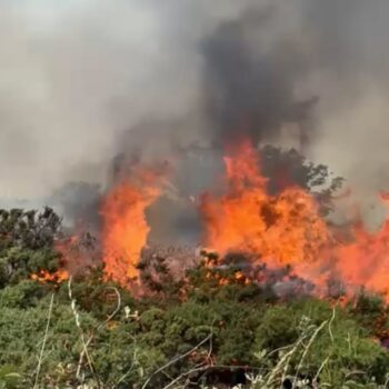 Comprendre l'actualité en France : le vocabulaire des incendies Comprendre l'actualité en France : le vocabulaire des incendies