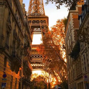 study French in Paris study French in Paris